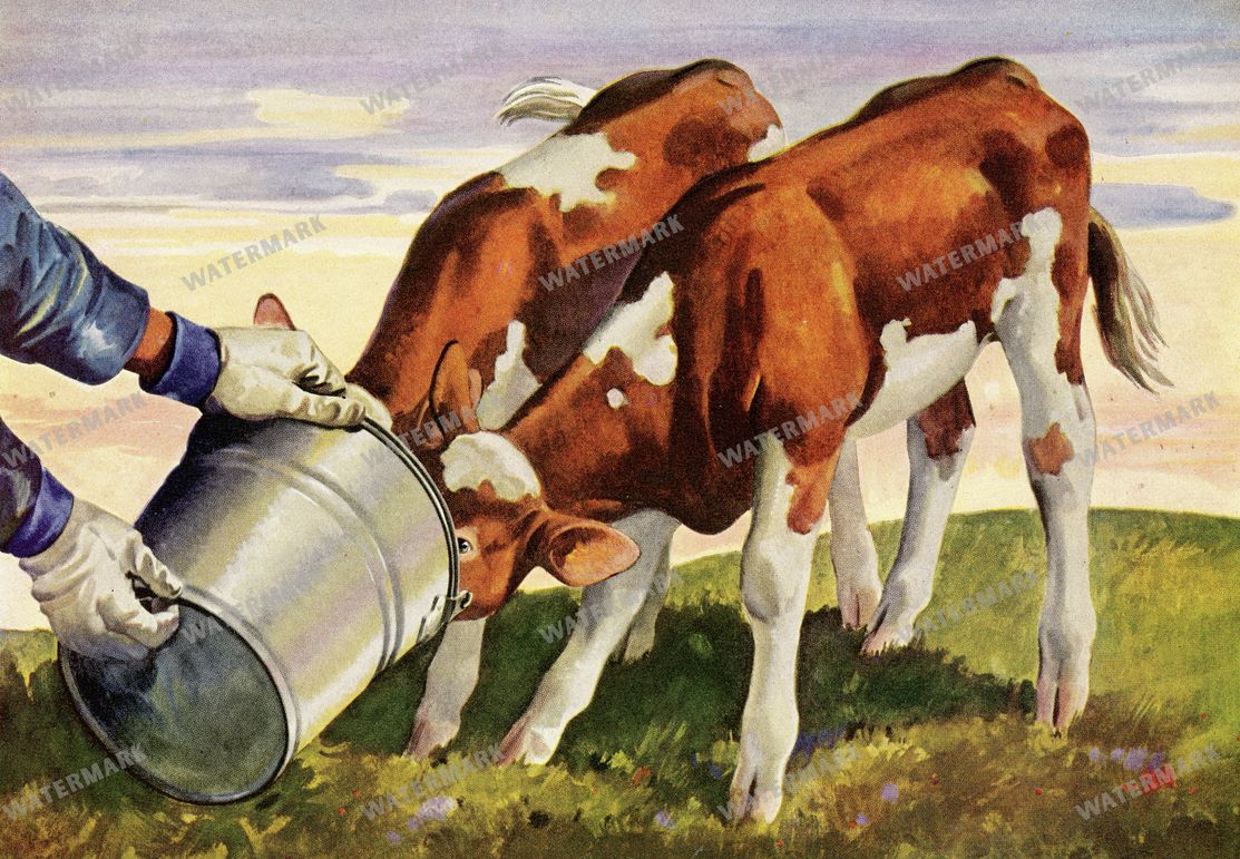 Ads Vintage Prints
