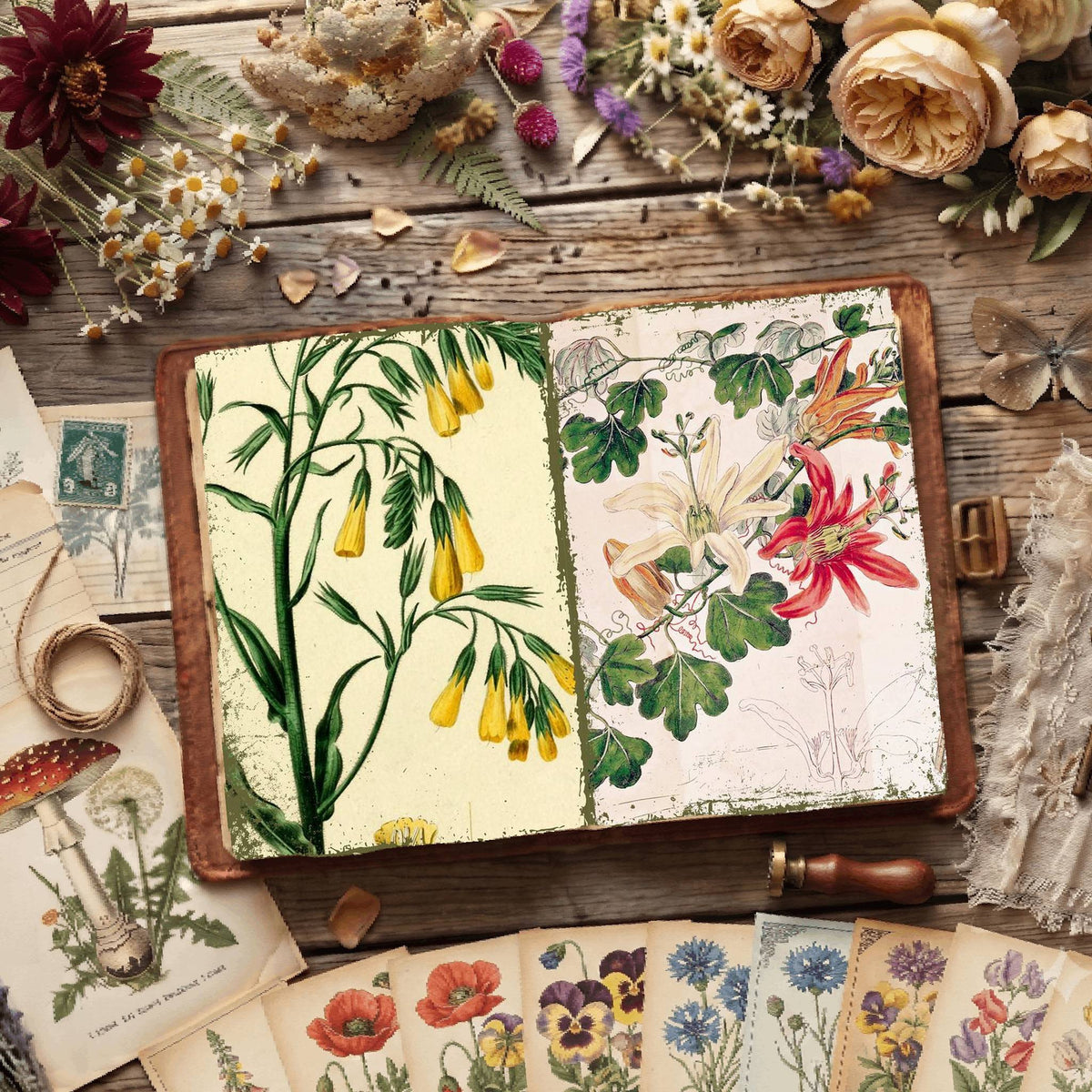 Botanical Illustrations Digital Papers