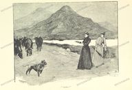 Fauna Vintage Prints