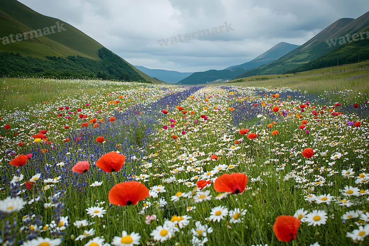 Meadow Bliss digital photo backdrop for photo editing, preview 29