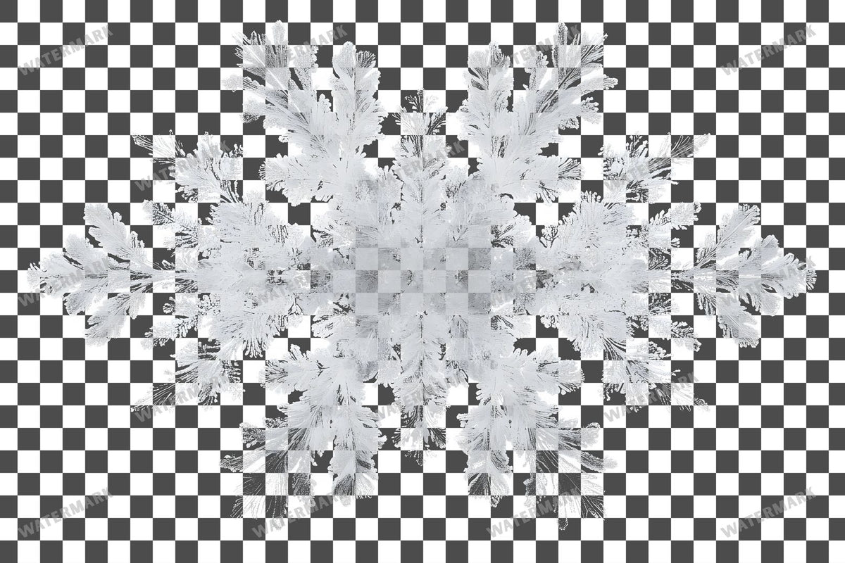 Snow Flake Overlay Lots
