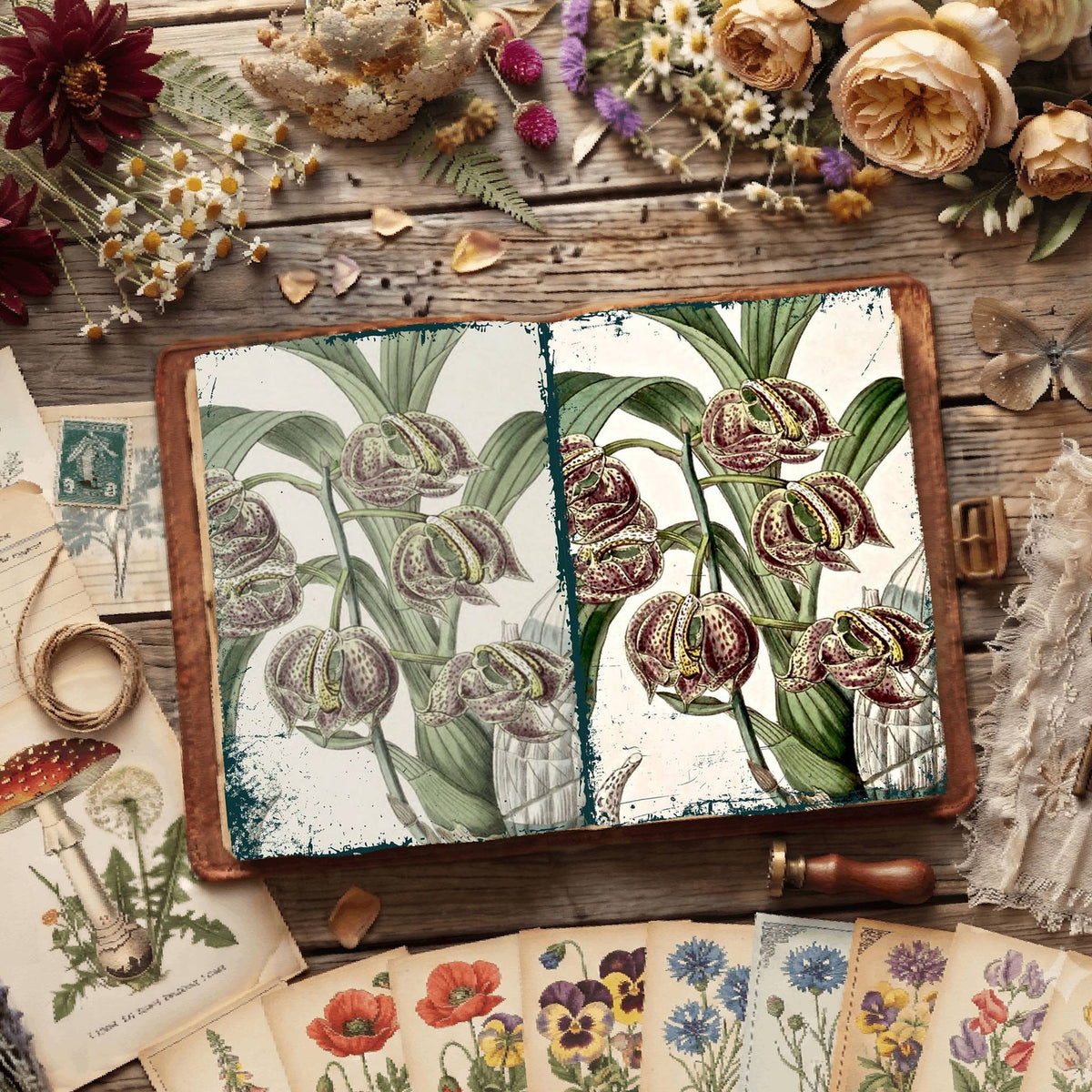 Botanical Illustrations Digital Papers
