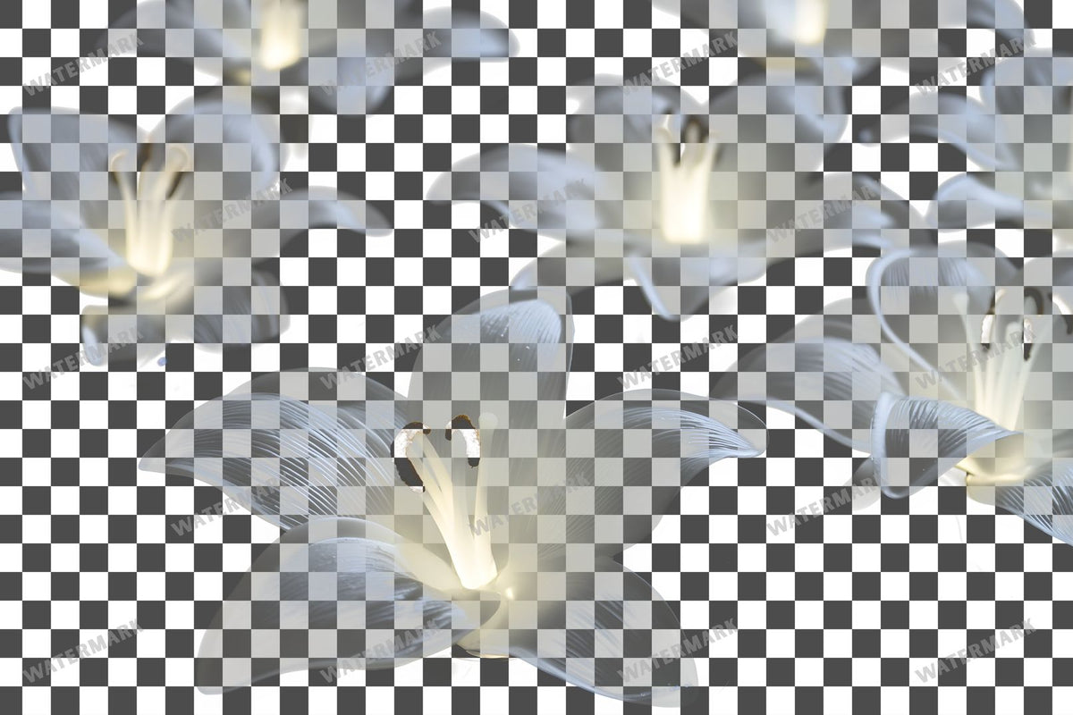 Easter Lilies Transparent Overlay Pngs