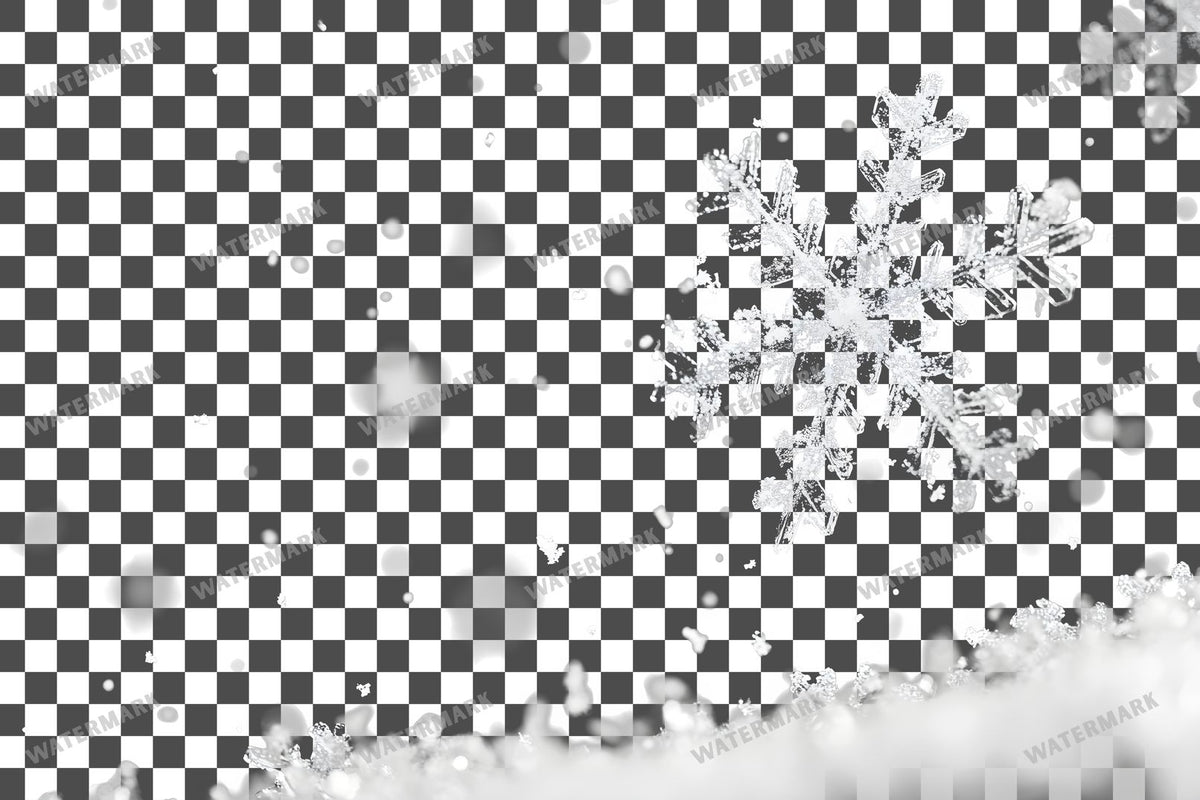 Snow Flake Overlay Lots