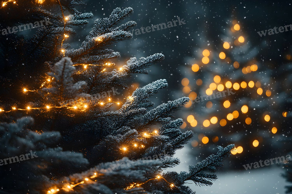Snowy Forest Backdrop Images