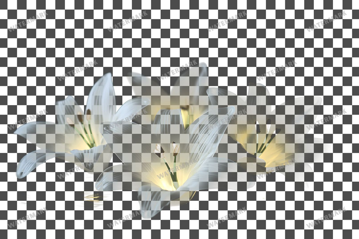 Easter Lilies Transparent Overlay Pngs