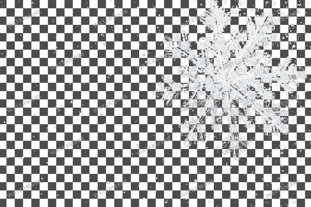 Snow Flake Overlay Lots