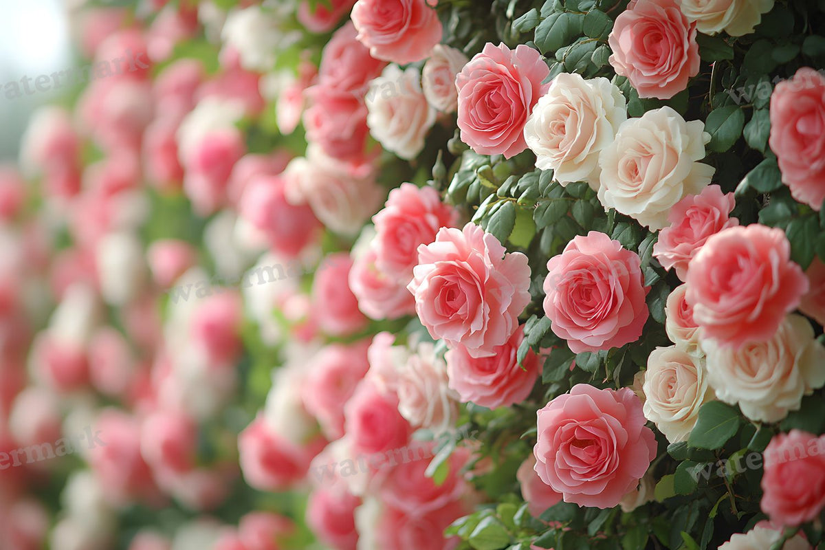 Romantic Rose Garden digital photo backdrop for photo editing, preview 32