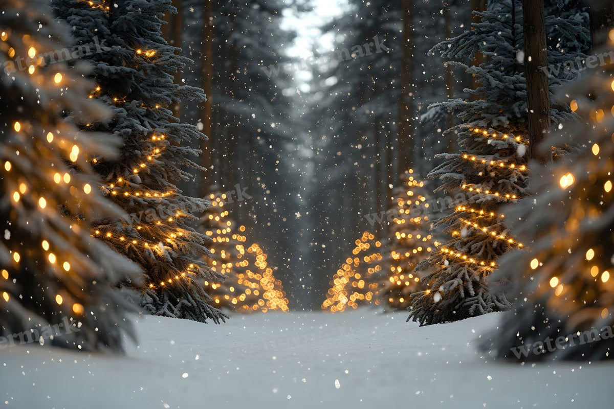 Snowy Forest Backdrop Images