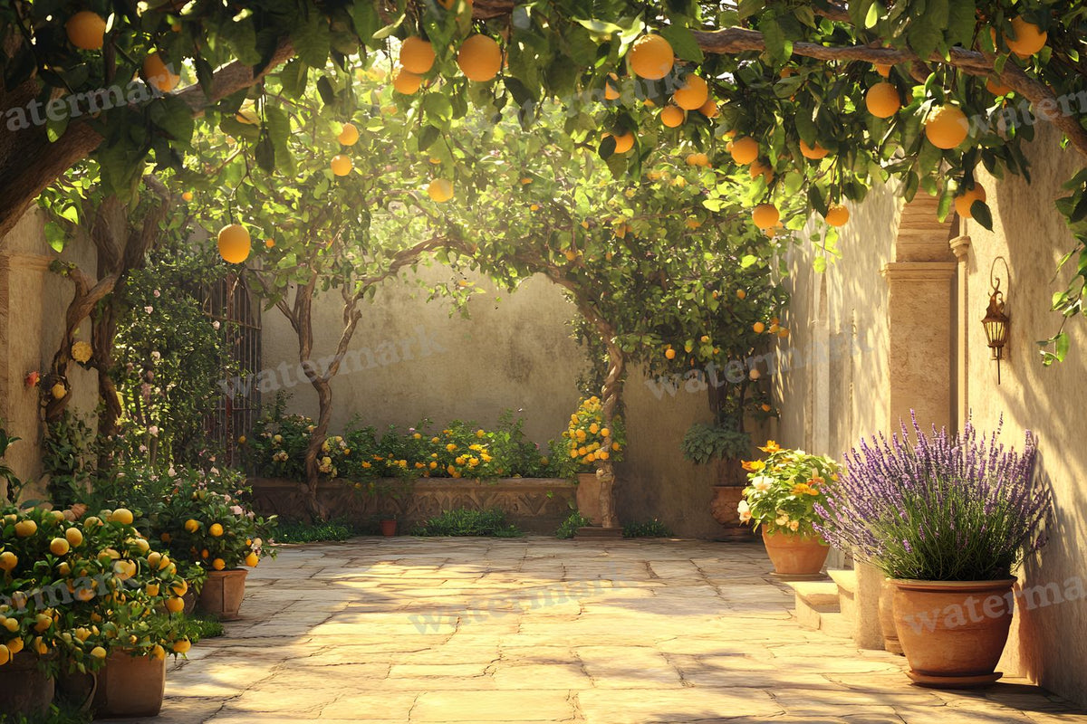 Botanical Garden Backdrop Images