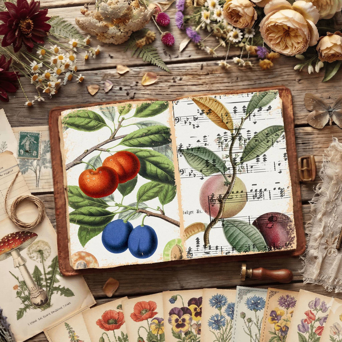 Botanical Illustrations Digital Papers