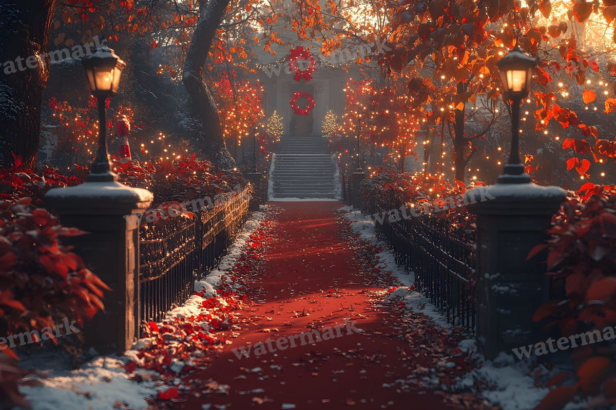 Christmas Outdoor Scene Backdrop Images