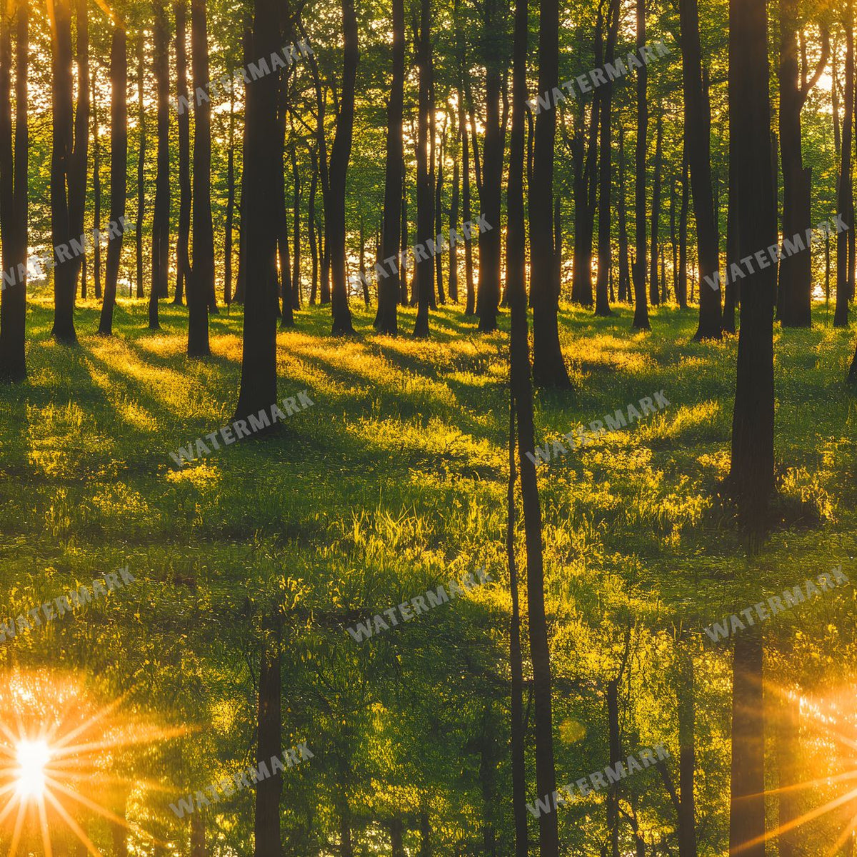 Forest Seamless Pattern