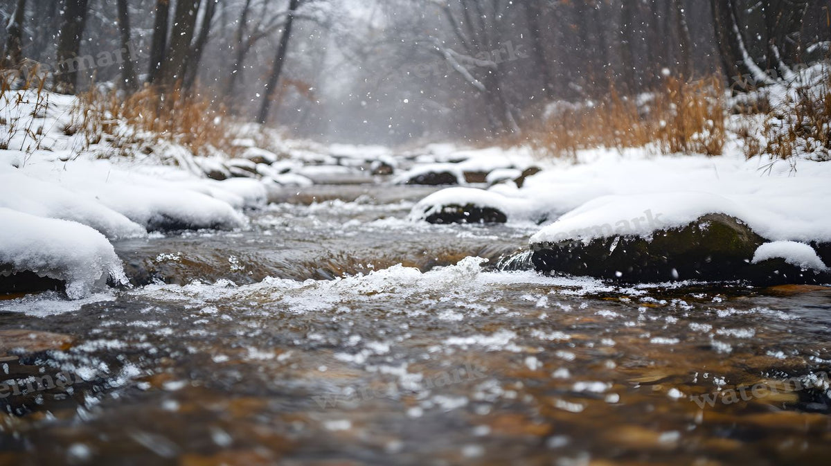 Winter Snow Backdrop Images