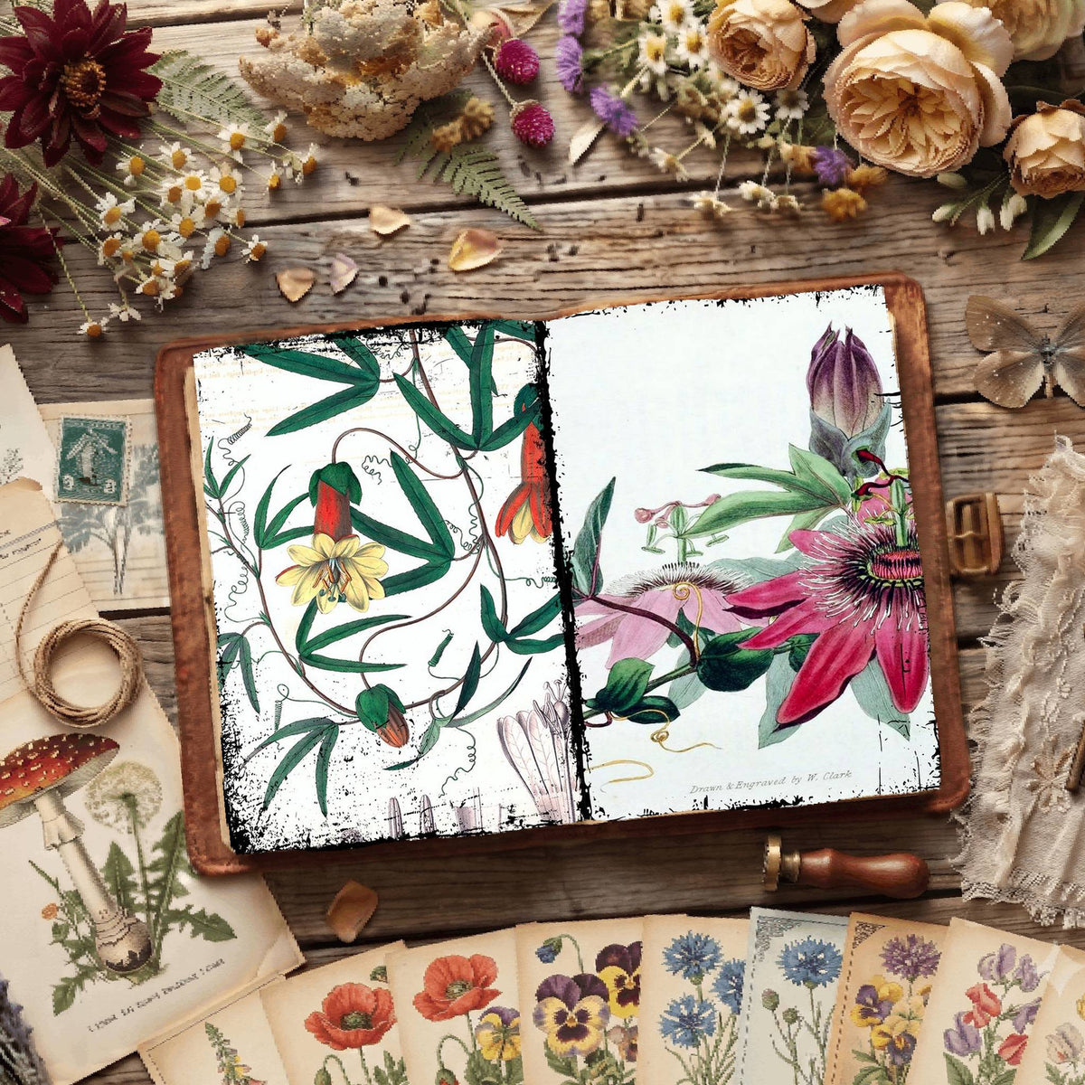 Botanical Illustrations Digital Papers