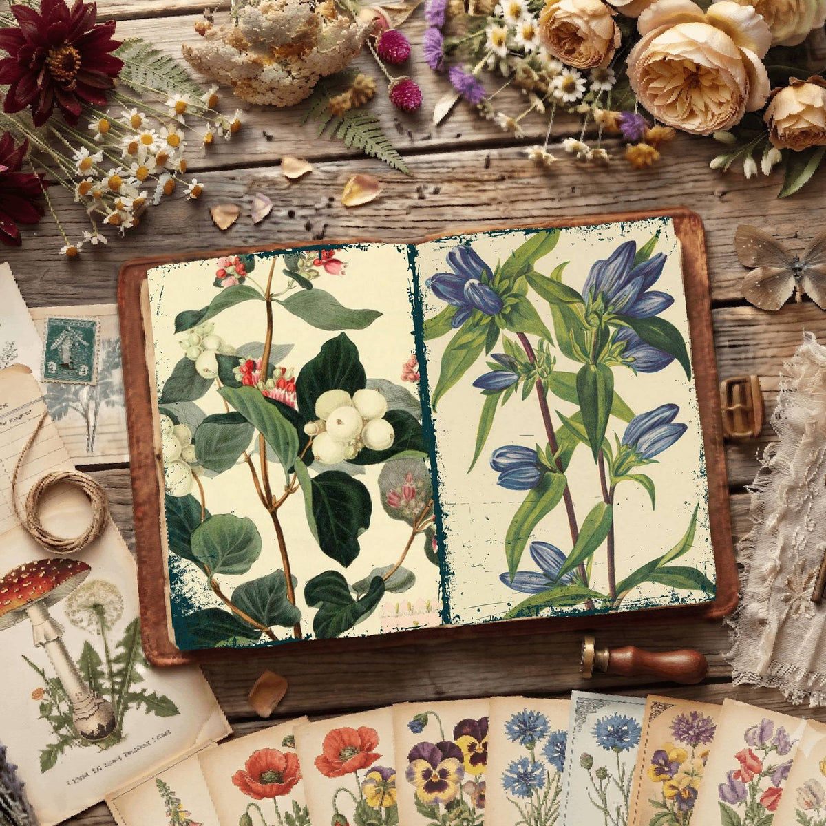 Botanical Illustrations Digital Papers