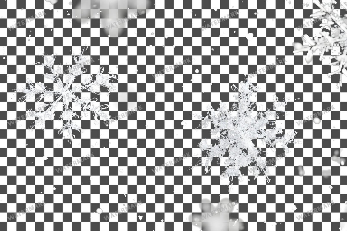 Snow Flake Overlay Lots