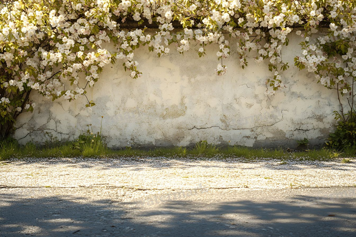 Spring Blossom Escape Backdrop Images