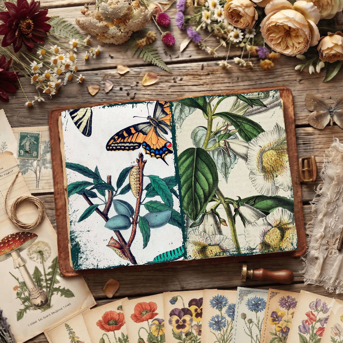 Botanical Illustrations Digital Papers