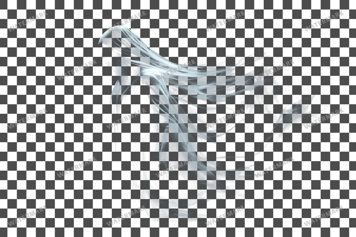 Ghostly Apparition Transparent Overlay Pngs