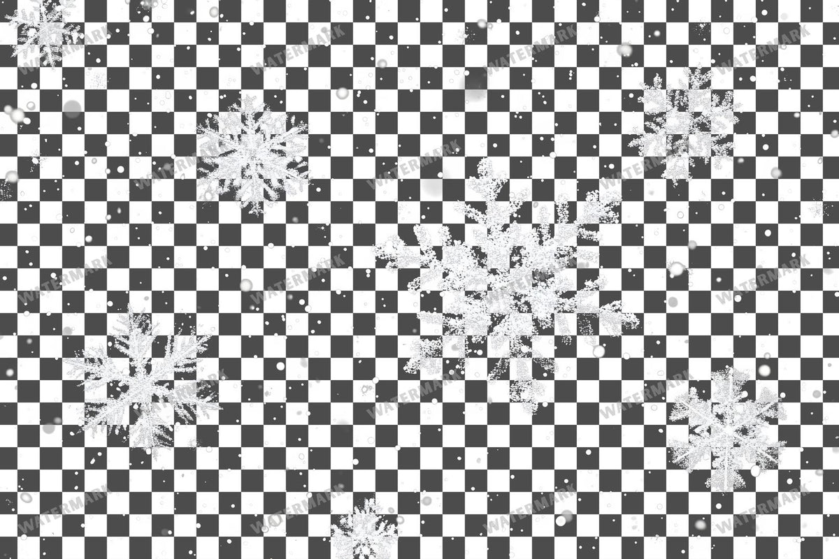Snow Flake Overlay Lots