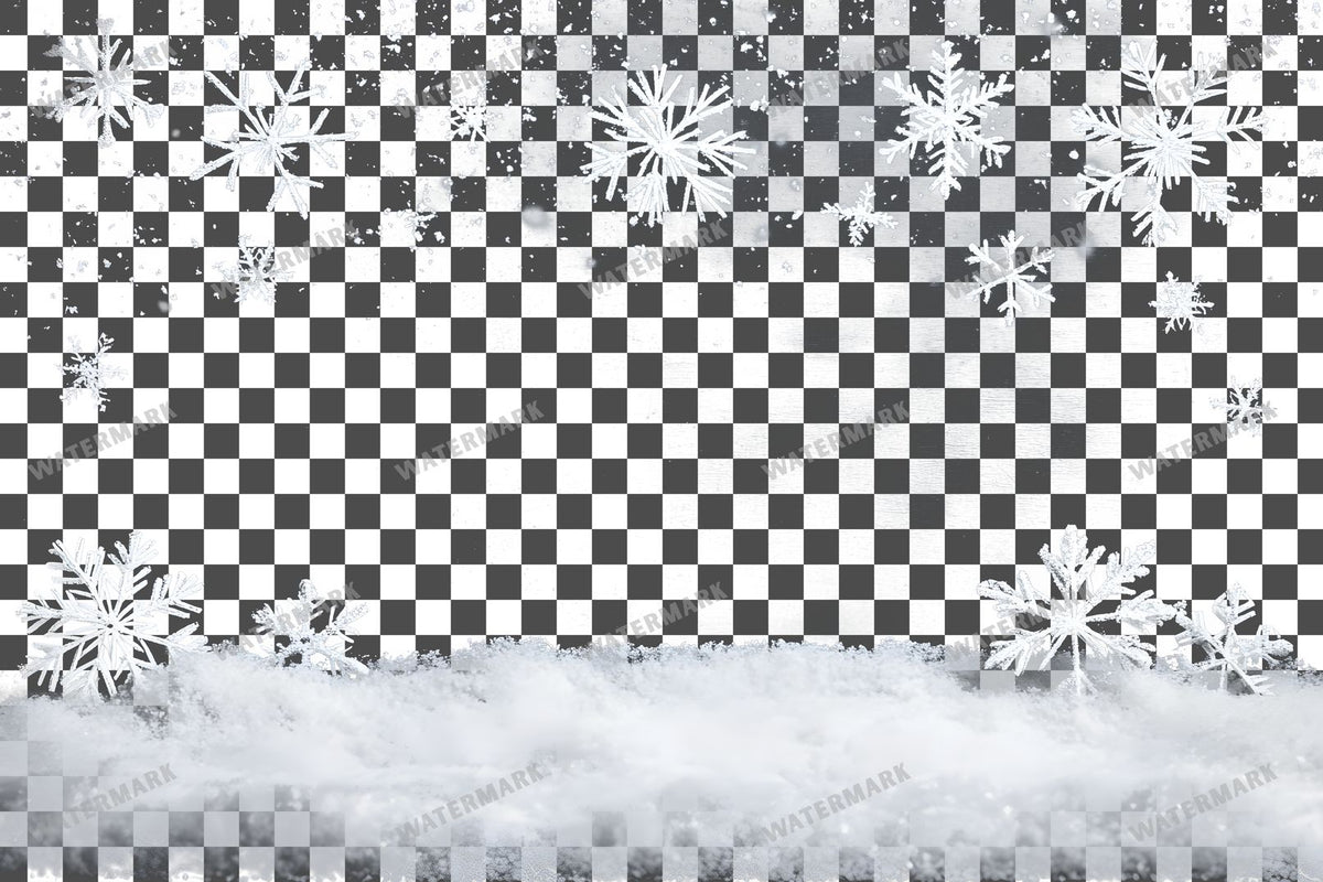 Snow Overlay