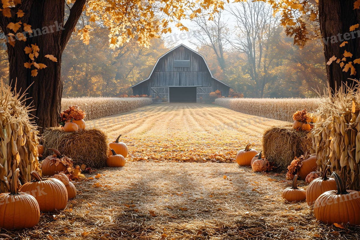 Autumn Harvest Backdrop Images