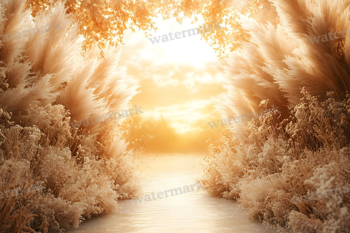 Boho Sunset Arch Backdrop Images