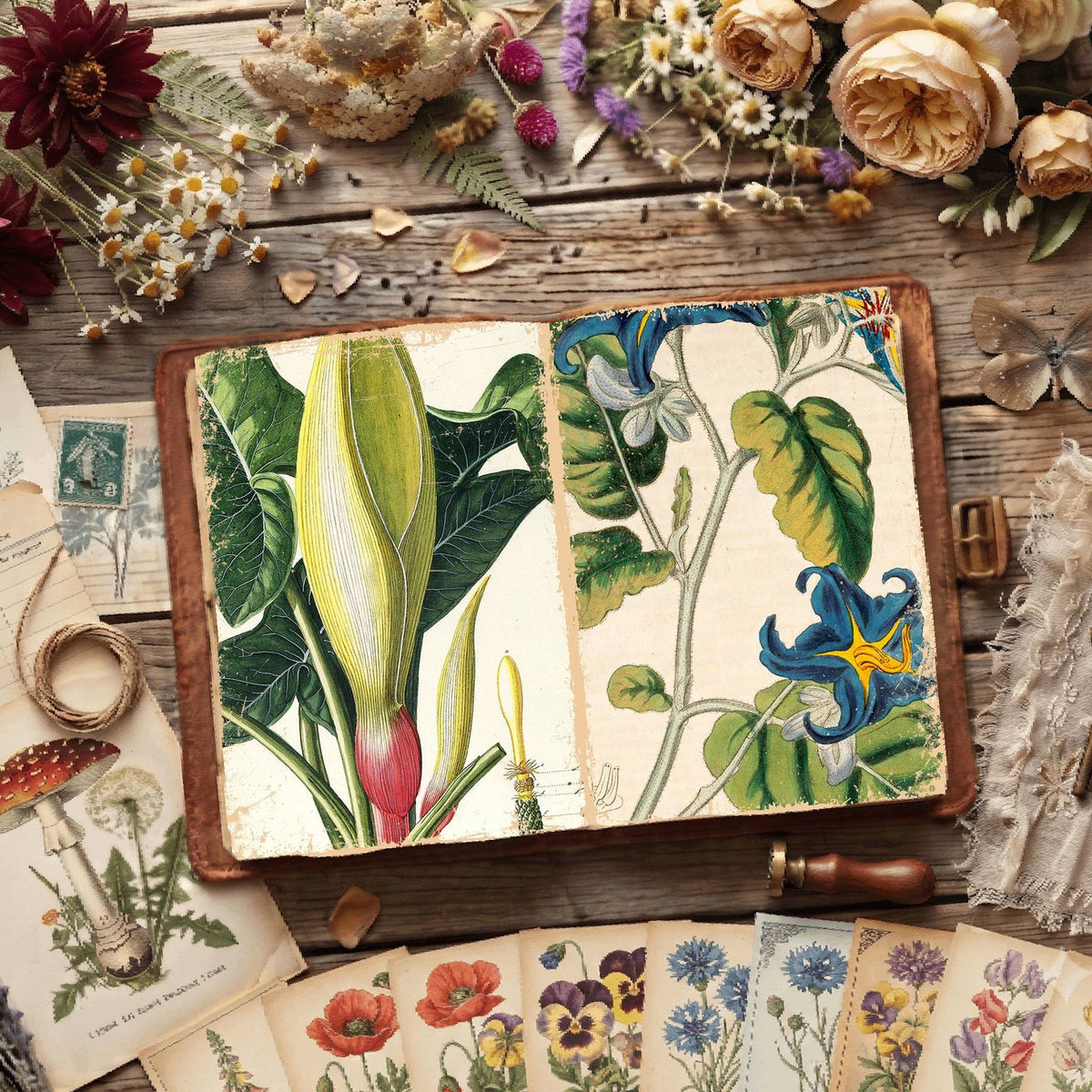 Botanical Illustrations Digital Papers
