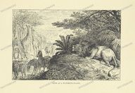 Fauna Vintage Prints
