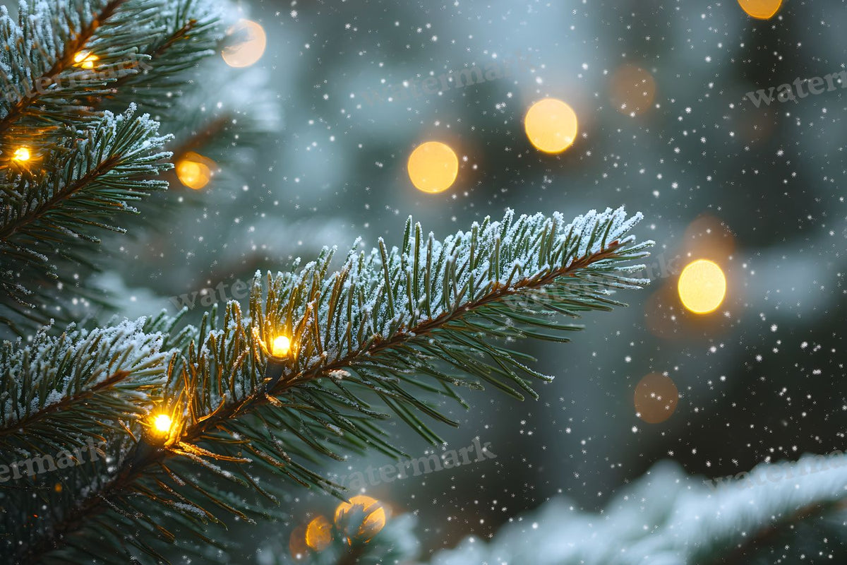 Snowy Forest Backdrop Images