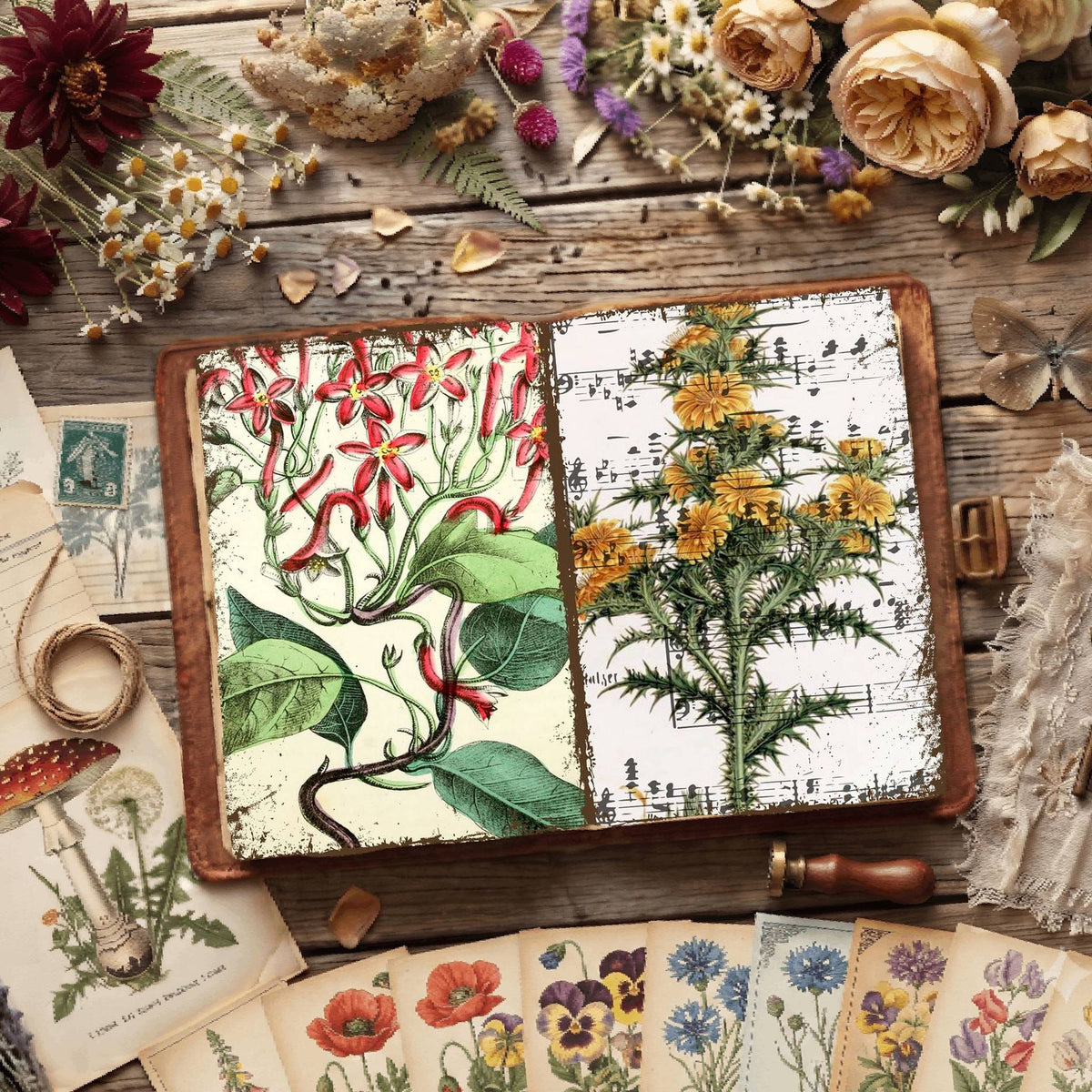 Botanical Illustrations Digital Papers