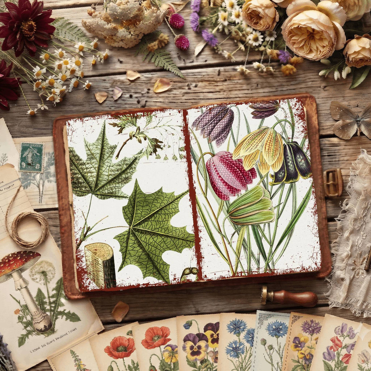 Botanical Illustrations Digital Papers