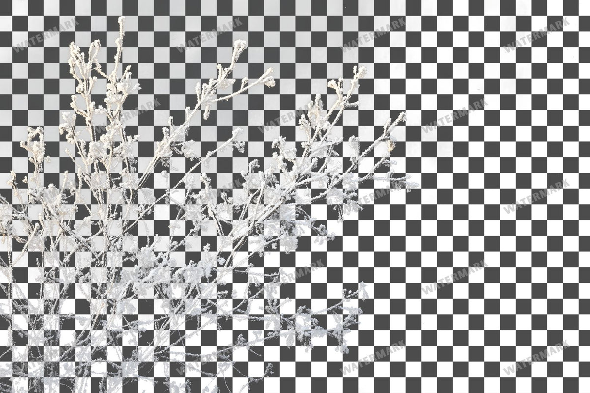 Snowy Day Lighting Soft White Transparent Overlay Pngs
