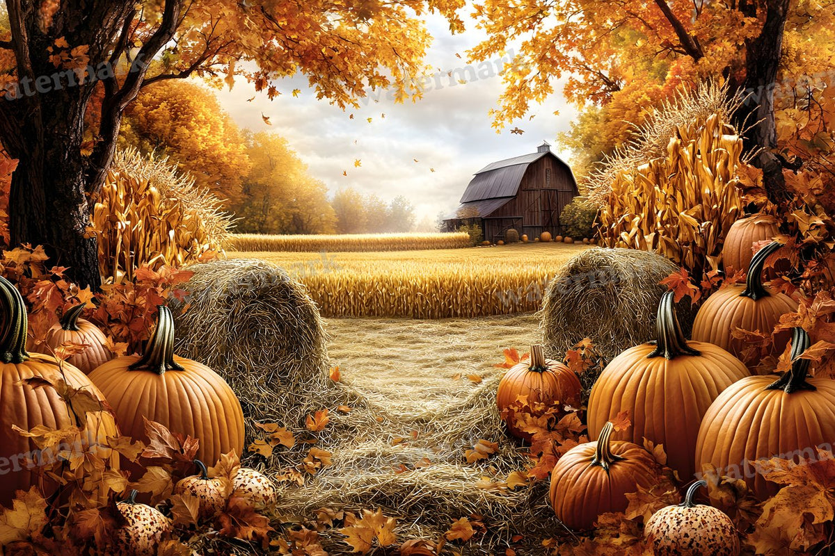 Autumn Harvest Backdrop Images
