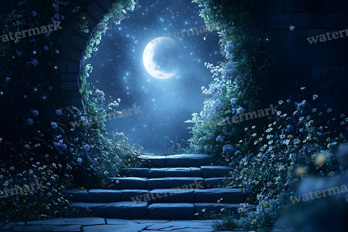 Starry Night digital photo backdrop for photo editing, preview 38