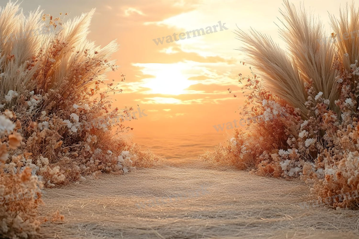 Boho Sunset Arch Backdrop Images