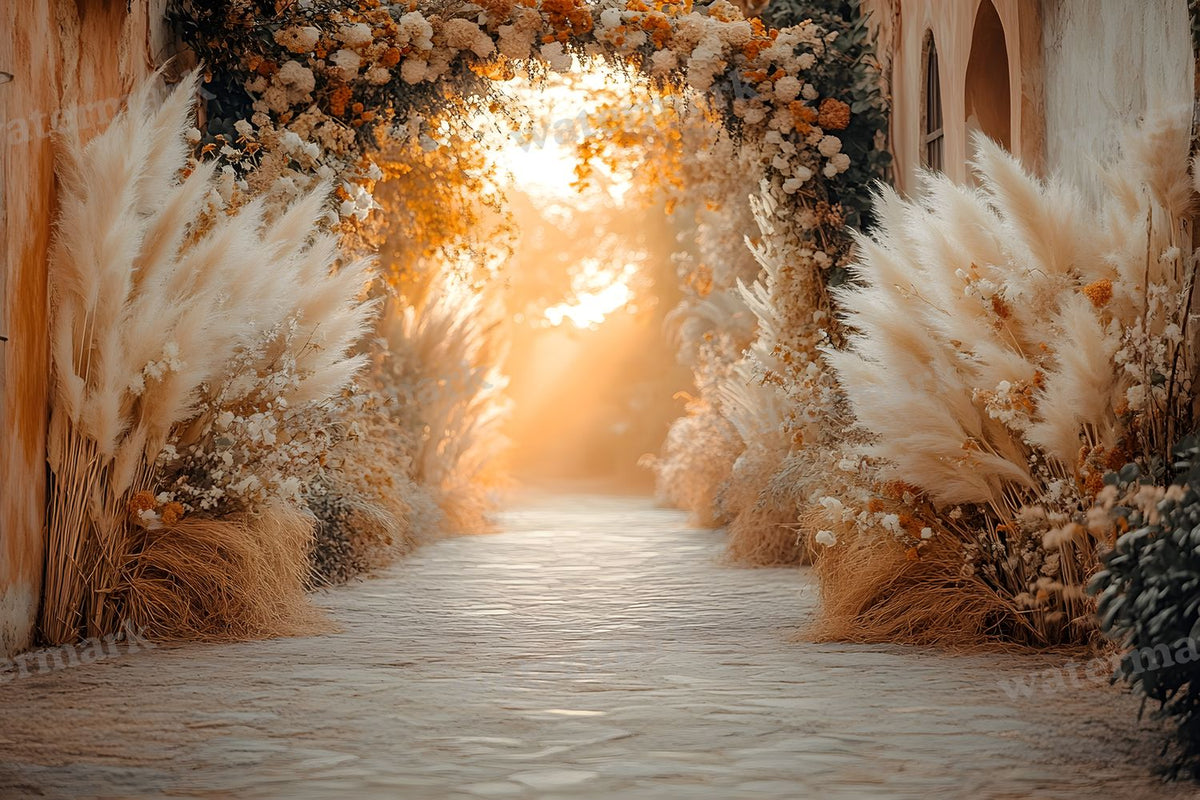 Boho Sunset Arch Backdrop Images