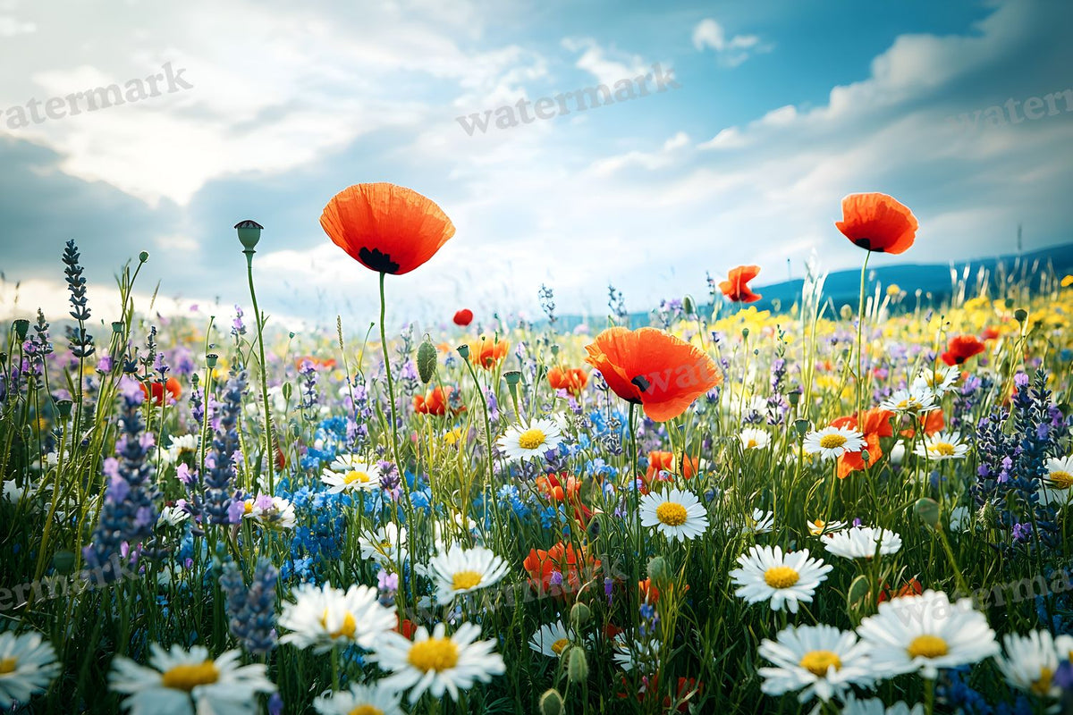 Meadow Bliss digital photo backdrop for photo editing, preview 39