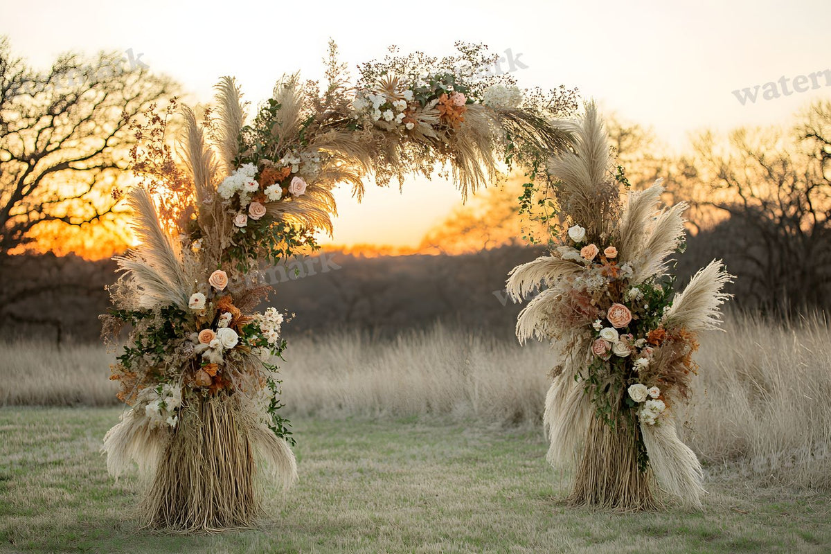 Boho Sunset Arch Backdrop Images