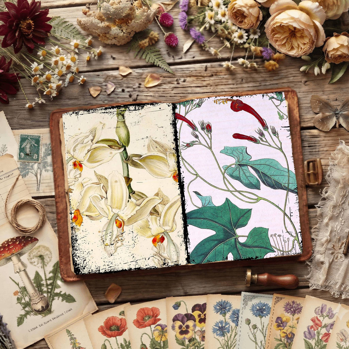Botanical Illustrations Digital Papers