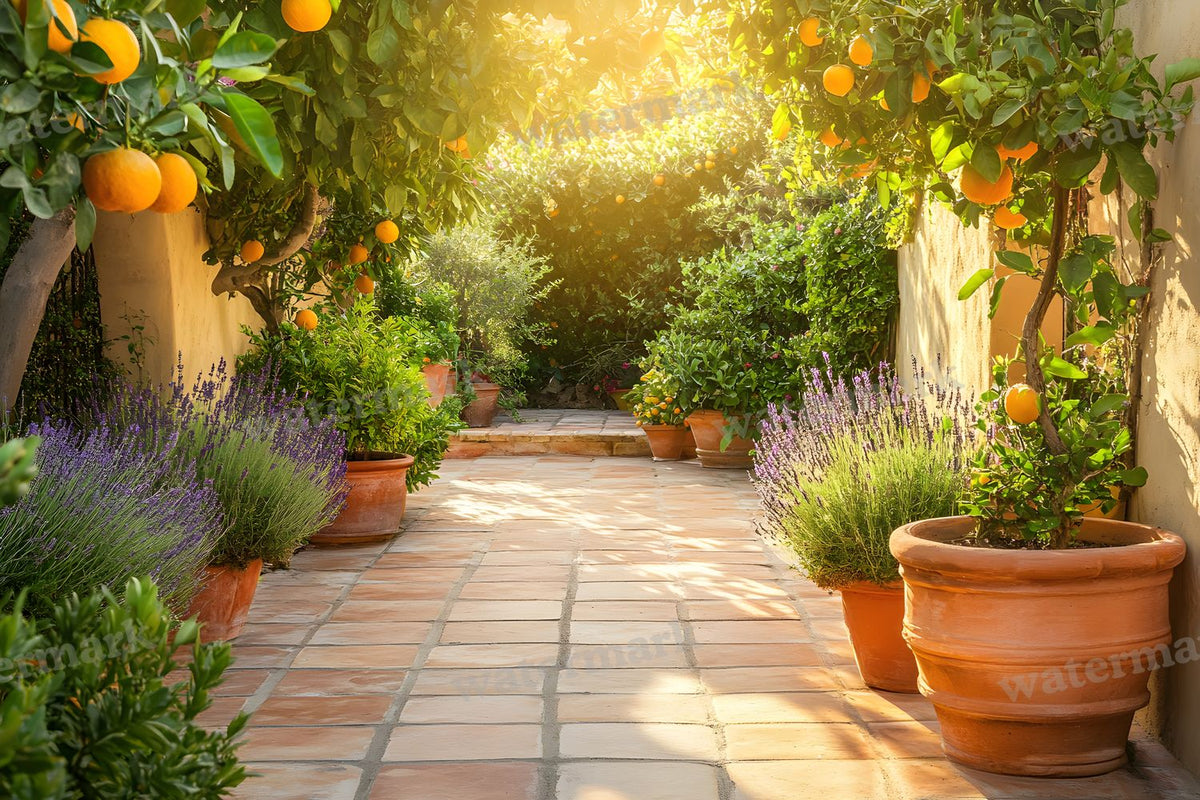 Botanical Garden Backdrop Images