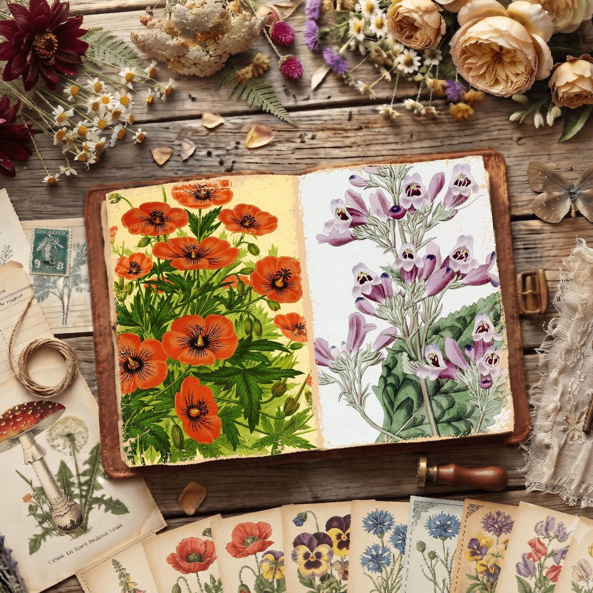 Botanical Illustrations Digital Papers