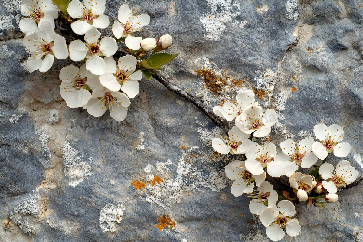 Spring Blossom Escape Backdrop Images