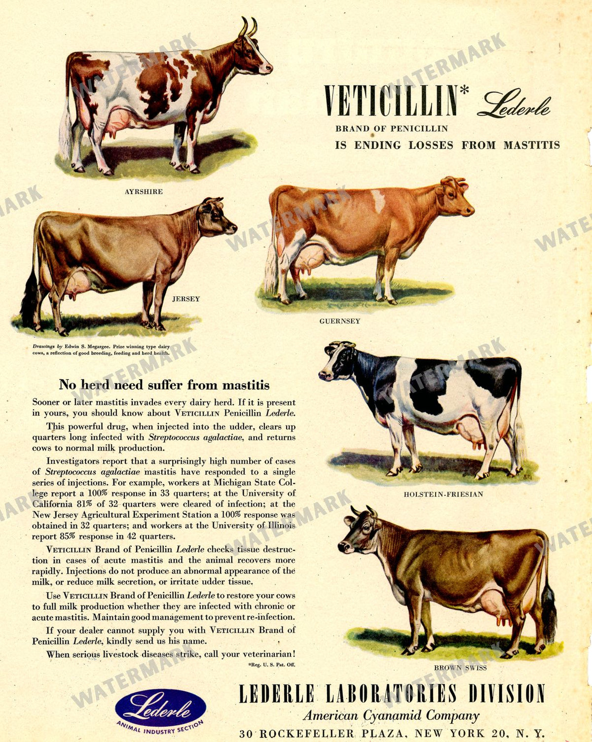 Ads Vintage Prints