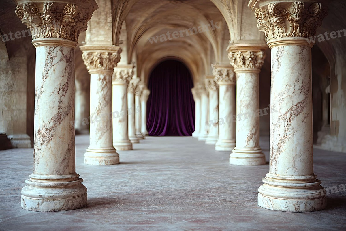Baroque Marble Columns digital photo backdrop for photo editing, preview 44
