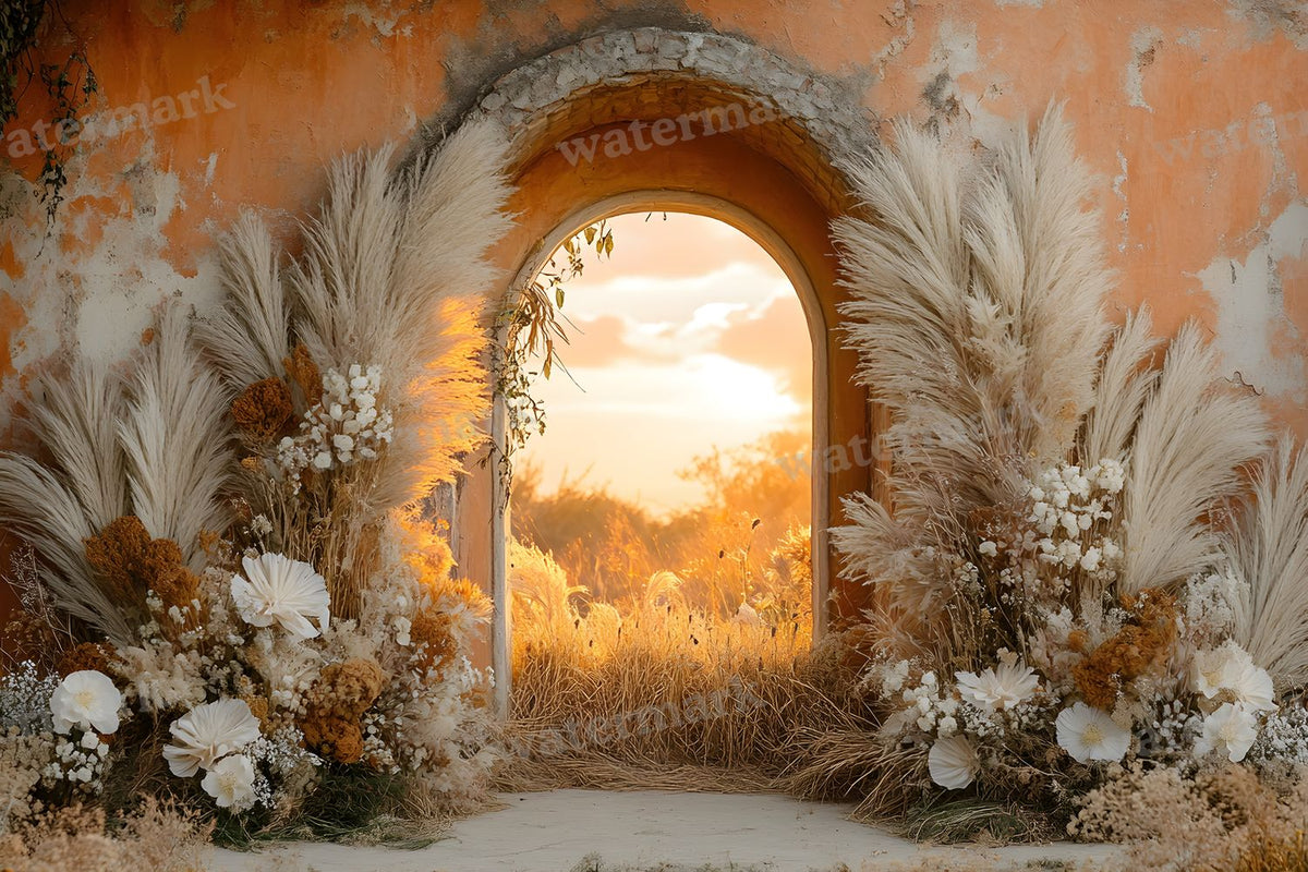 Boho Sunset Arch Backdrop Images