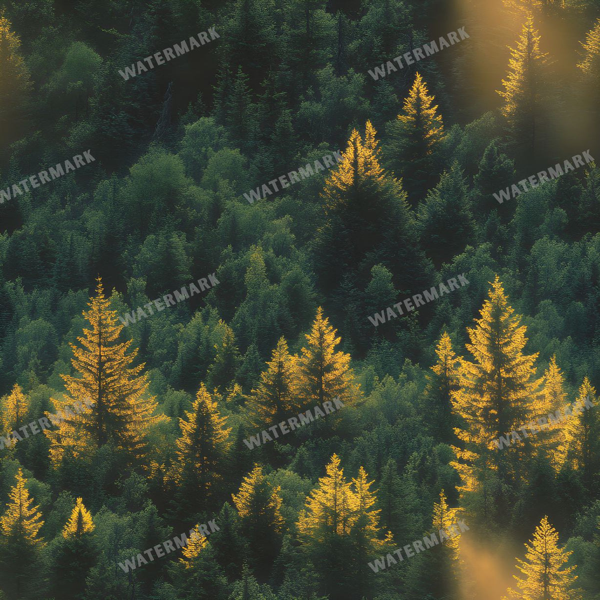 Forest Seamless Pattern