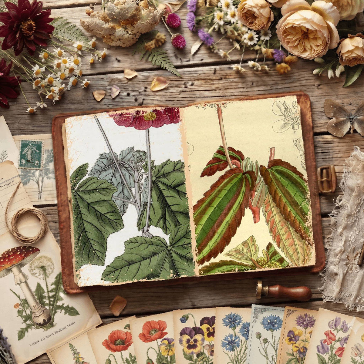 Botanical Illustrations Digital Papers