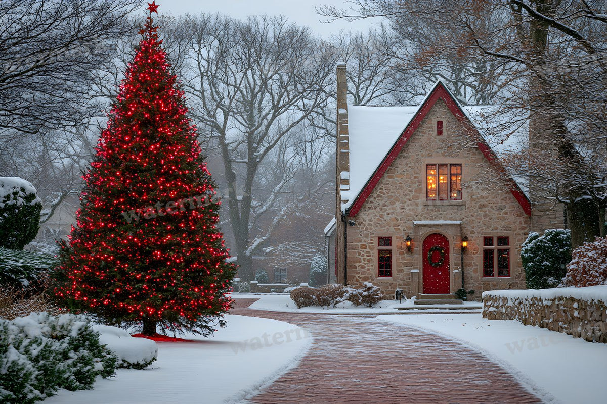 Classic Christmas Backdrop Images